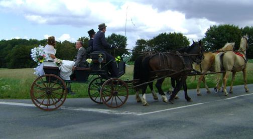 mariage en calèche tirée par 2 chevaux